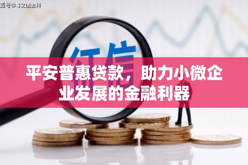 桃江平安普惠贷款，助力小微企业发展的金融利器