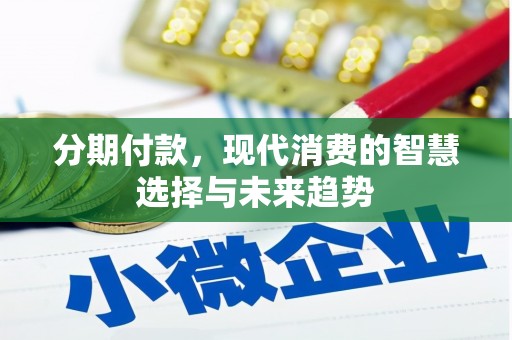 桃江分期付款，现代消费的智慧选择与未来趋势