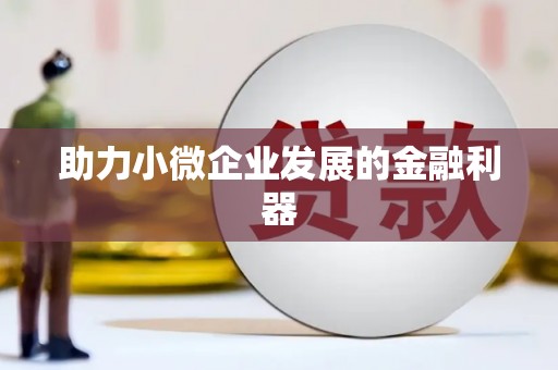 桃江助力小微企业发展的金融利器