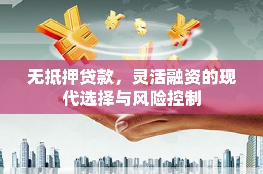 桃江无抵押贷款，灵活融资的现代选择与风险控制