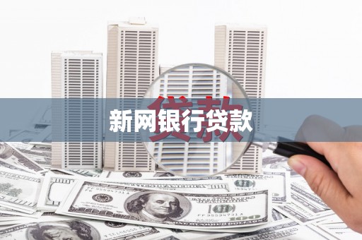 桃江新网银行贷款