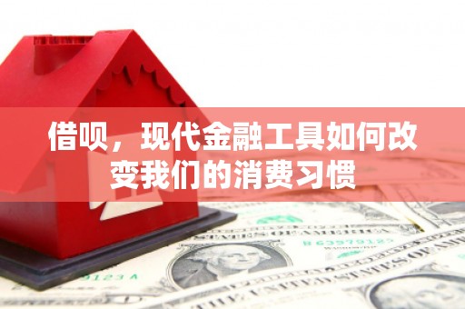 桃江借呗，现代金融工具如何改变我们的消费习惯