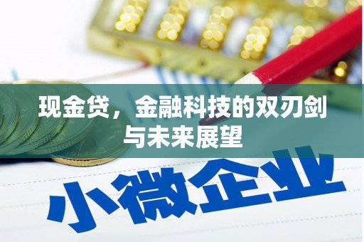 桃江现金贷，金融科技的双刃剑与未来展望