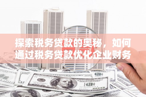 桃江探索税务贷款的奥秘，如何通过税务贷款优化企业财务