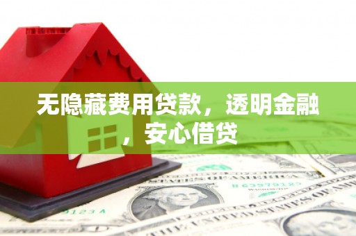 桃江无隐藏费用贷款，透明金融，安心借贷