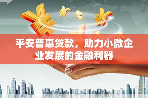 桃江平安普惠贷款，助力小微企业发展的金融利器