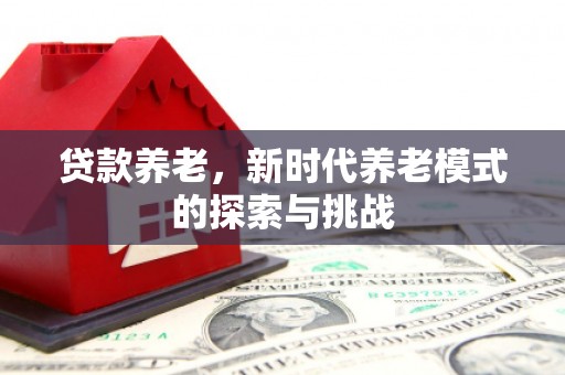 桃江贷款养老，新时代养老模式的探索与挑战