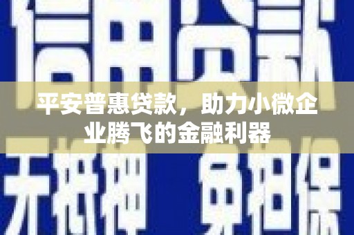 桃江平安普惠贷款，助力小微企业腾飞的金融利器