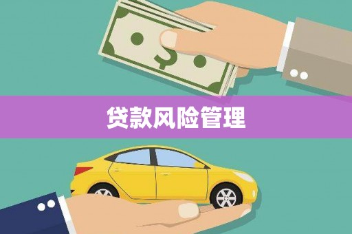 桃江贷款风险管理