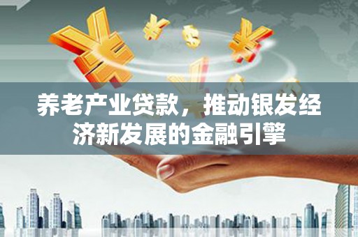 桃江养老产业贷款，推动银发经济新发展的金融引擎