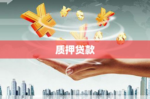 桃江质押贷款