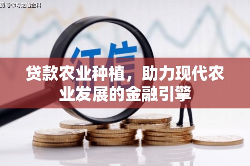 桃江贷款农业种植，助力现代农业发展的金融引擎