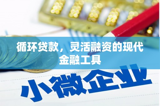 桃江循环贷款，灵活融资的现代金融工具