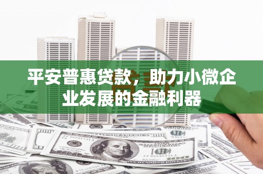 桃江平安普惠贷款，助力小微企业发展的金融利器