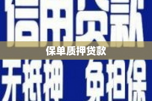 桃江保单质押贷款