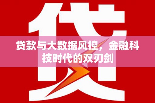 桃江贷款与大数据风控，金融科技时代的双刃剑