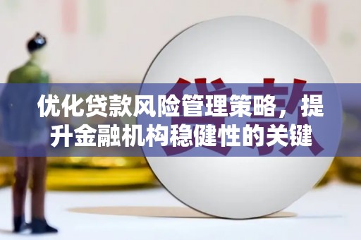 桃江优化贷款风险管理策略，提升金融机构稳健性的关键