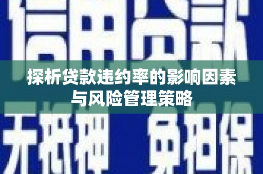 桃江探析贷款违约率的影响因素与风险管理策略