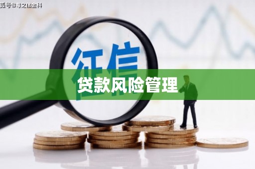 桃江贷款风险管理