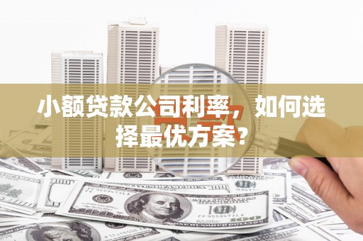 桃江小额贷款公司利率，如何选择最优方案？