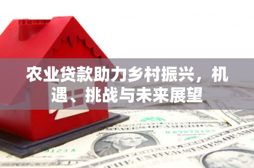 桃江农业贷款助力乡村振兴，机遇、挑战与未来展望