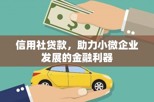 桃江信用社贷款，助力小微企业发展的金融利器