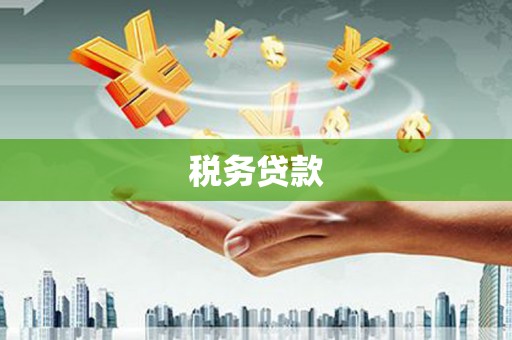 桃江税务贷款