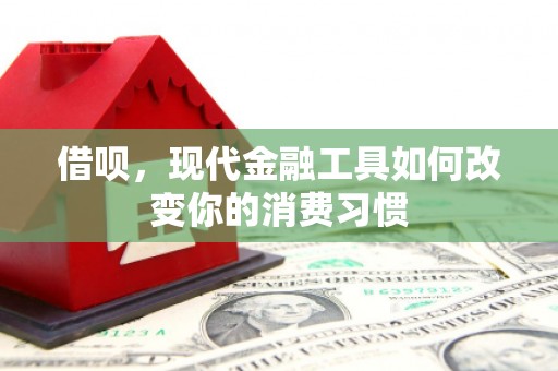 桃江借呗，现代金融工具如何改变你的消费习惯
