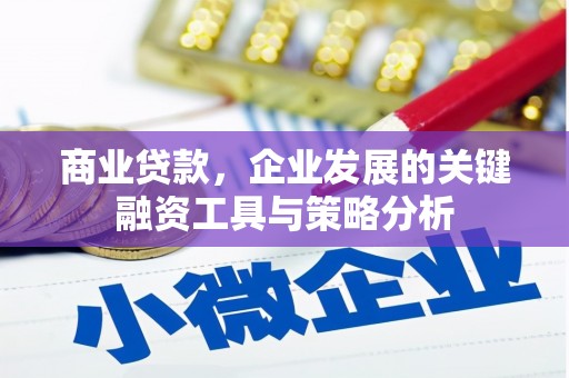 桃江商业贷款，企业发展的关键融资工具与策略分析