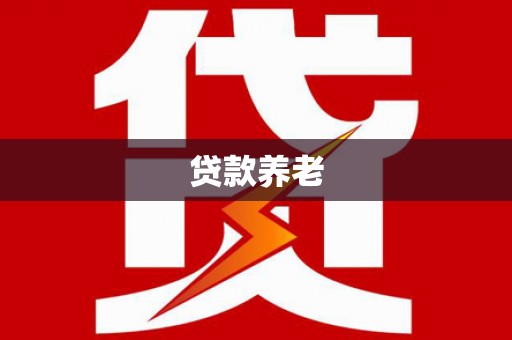 桃江贷款养老