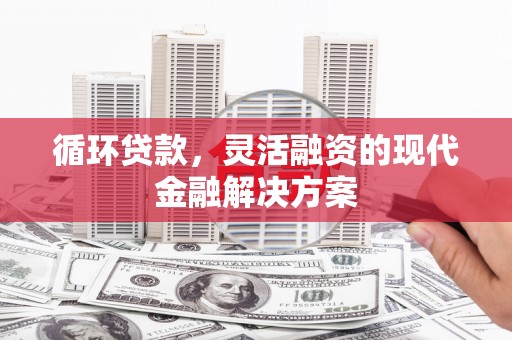 桃江循环贷款，灵活融资的现代金融解决方案