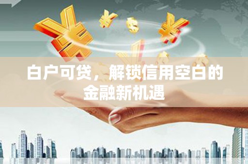 桃江白户可贷，解锁信用空白的金融新机遇