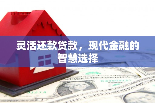 桃江灵活还款贷款，现代金融的智慧选择