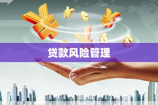 桃江贷款风险管理