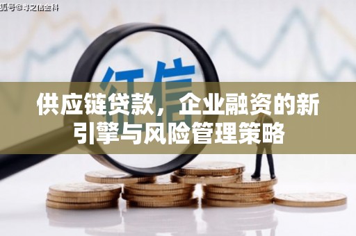 桃江供应链贷款，企业融资的新引擎与风险管理策略