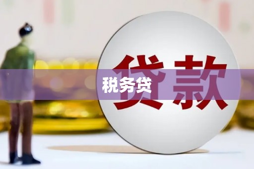桃江税务贷