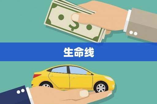 桃江生命线
