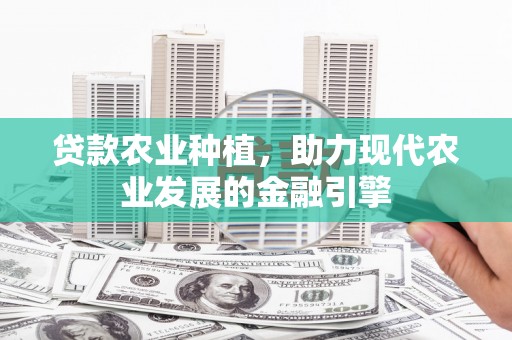 桃江贷款农业种植，助力现代农业发展的金融引擎