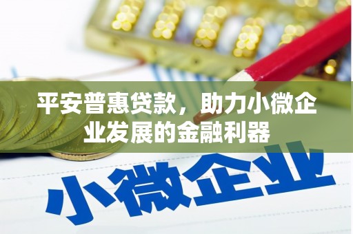 桃江平安普惠贷款，助力小微企业发展的金融利器