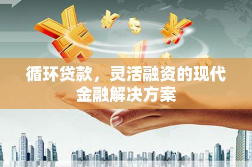 桃江循环贷款，灵活融资的现代金融解决方案