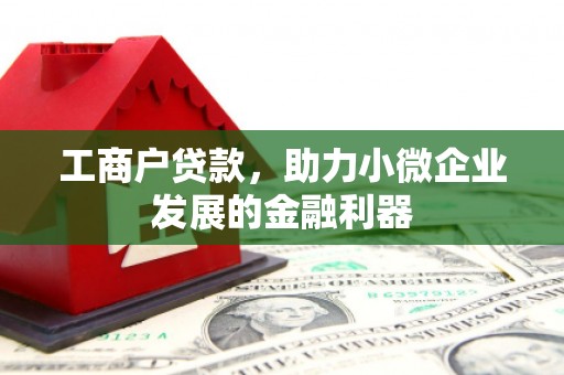 桃江工商户贷款，助力小微企业发展的金融利器