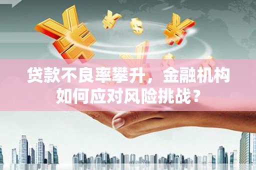 桃江贷款不良率攀升，金融机构如何应对风险挑战？