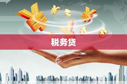 桃江税务贷