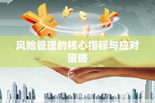 桃江风险管理的核心指标与应对策略