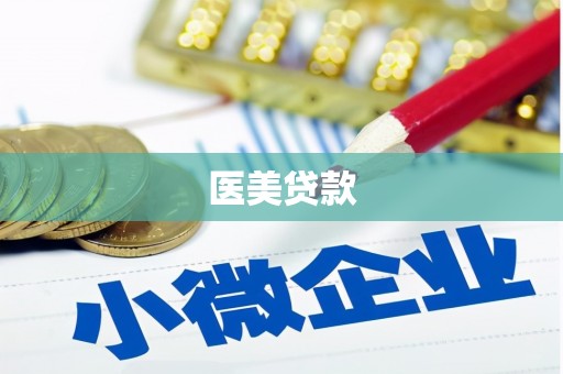 桃江医美贷款