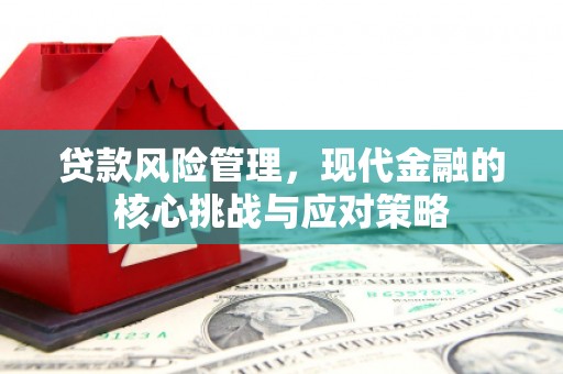 桃江贷款风险管理，现代金融的核心挑战与应对策略