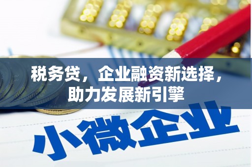 桃江税务贷，企业融资新选择，助力发展新引擎