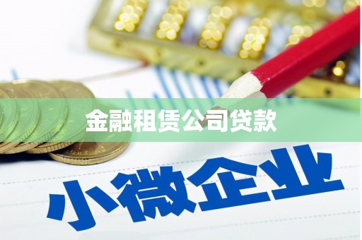 桃江金融租赁公司贷款