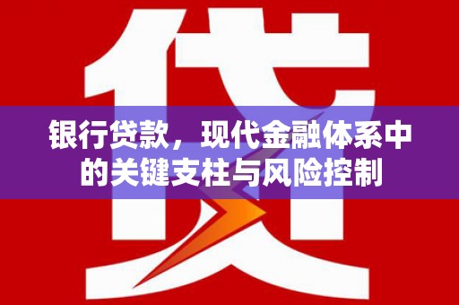 桃江银行贷款，现代金融体系中的关键支柱与风险控制