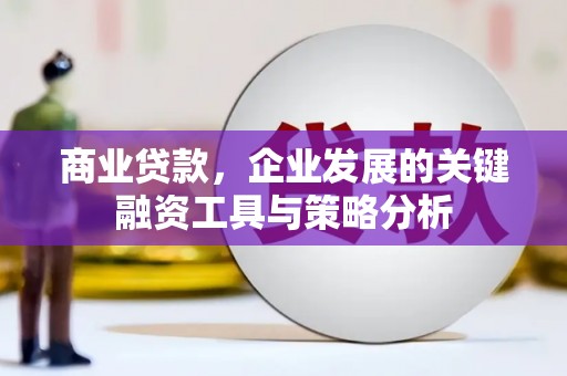 桃江商业贷款，企业发展的关键融资工具与策略分析